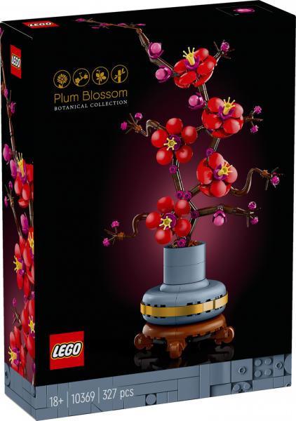 Pflaumenblüte