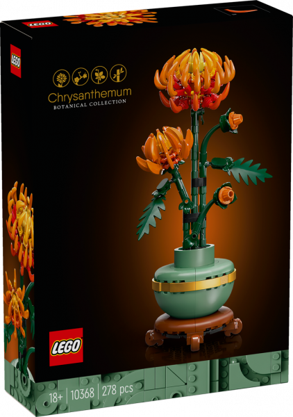Chrysantheme
